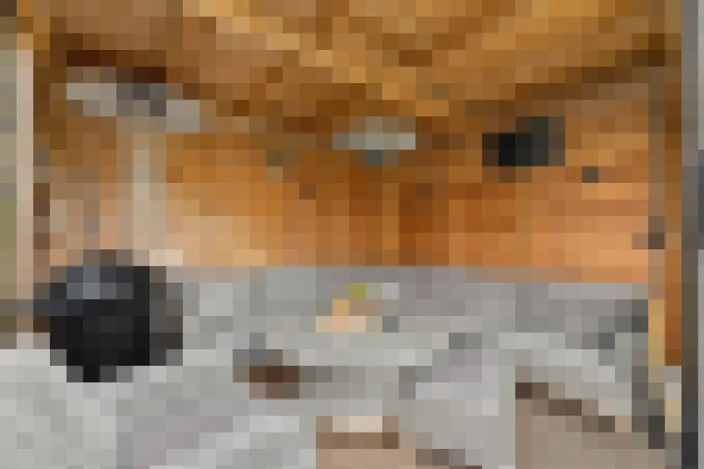 Ligusterhof 1 Papendrecht thumbnail 42
