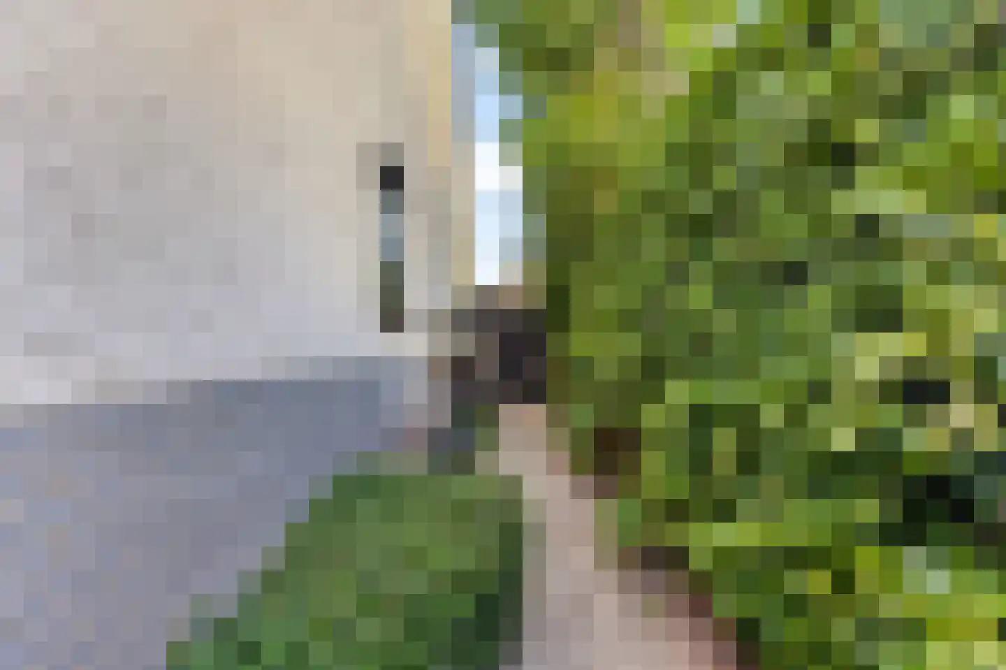 Ligusterhof 1 Papendrecht thumbnail 46