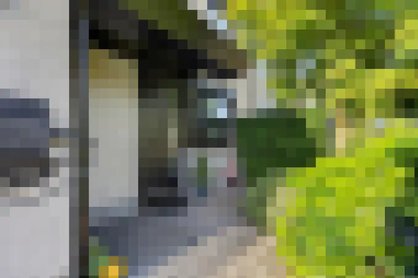Ligusterhof 1 Papendrecht thumbnail 47