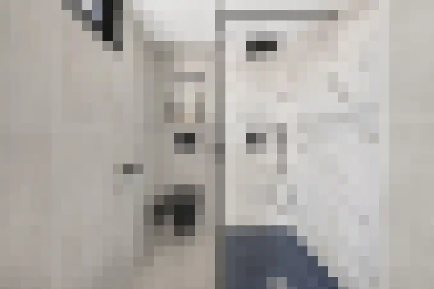 Ligusterhof 1 Papendrecht thumbnail 5
