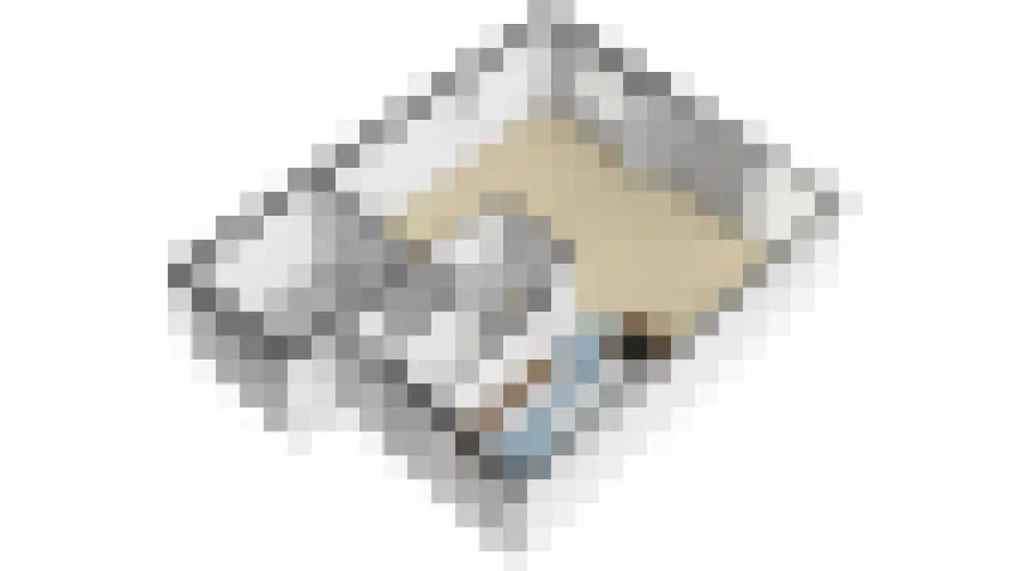 Ligusterhof 1 Papendrecht thumbnail 53