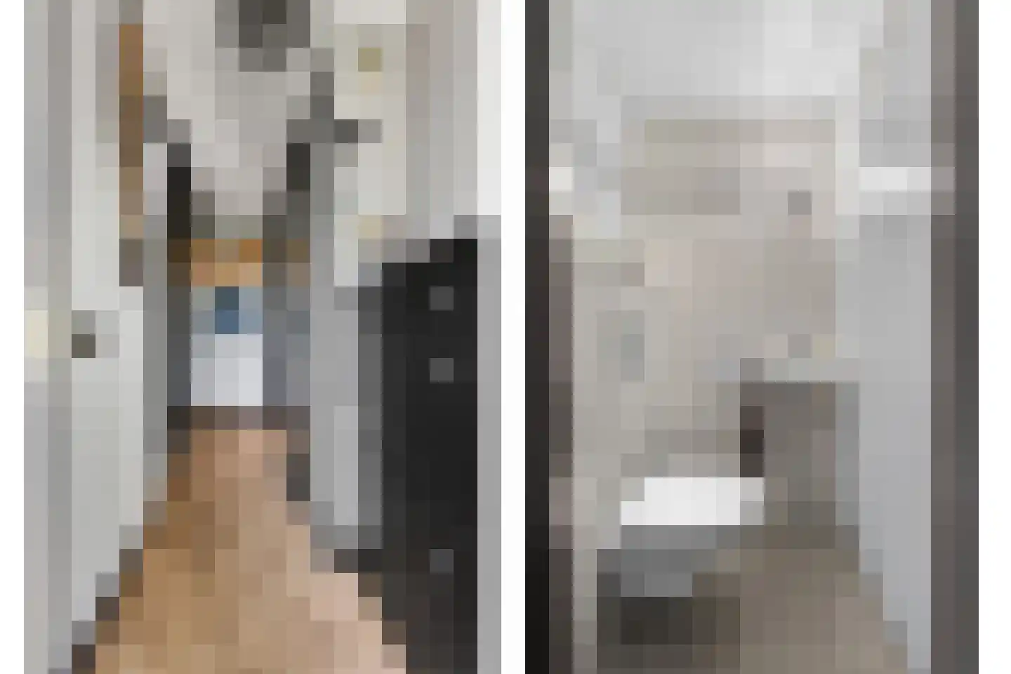 Ligusterhof 1 Papendrecht thumbnail 6