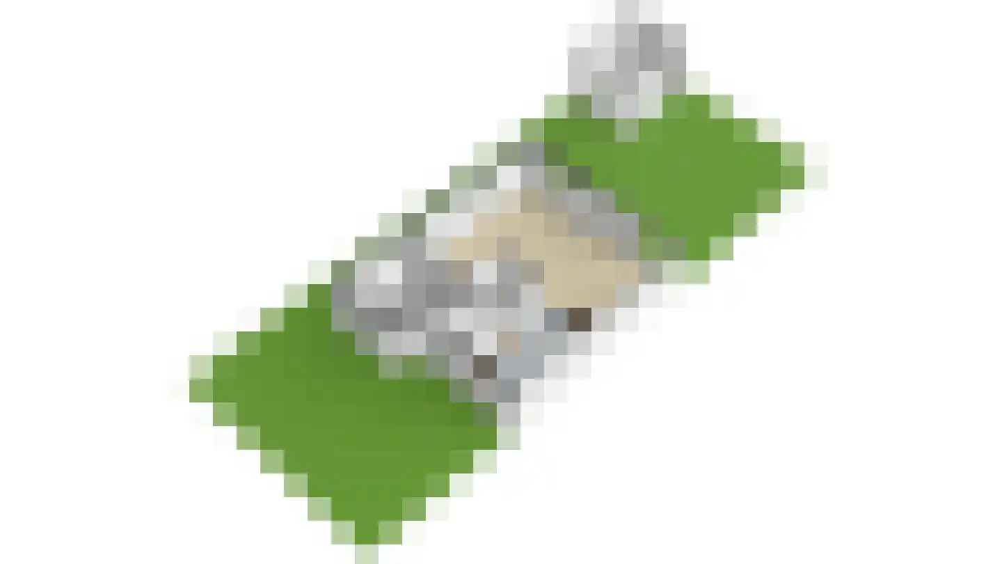 Ligusterhof 1 Papendrecht thumbnail 61