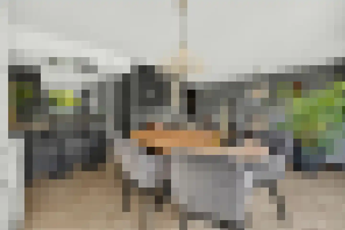 Ligusterhof 1 Papendrecht thumbnail 7