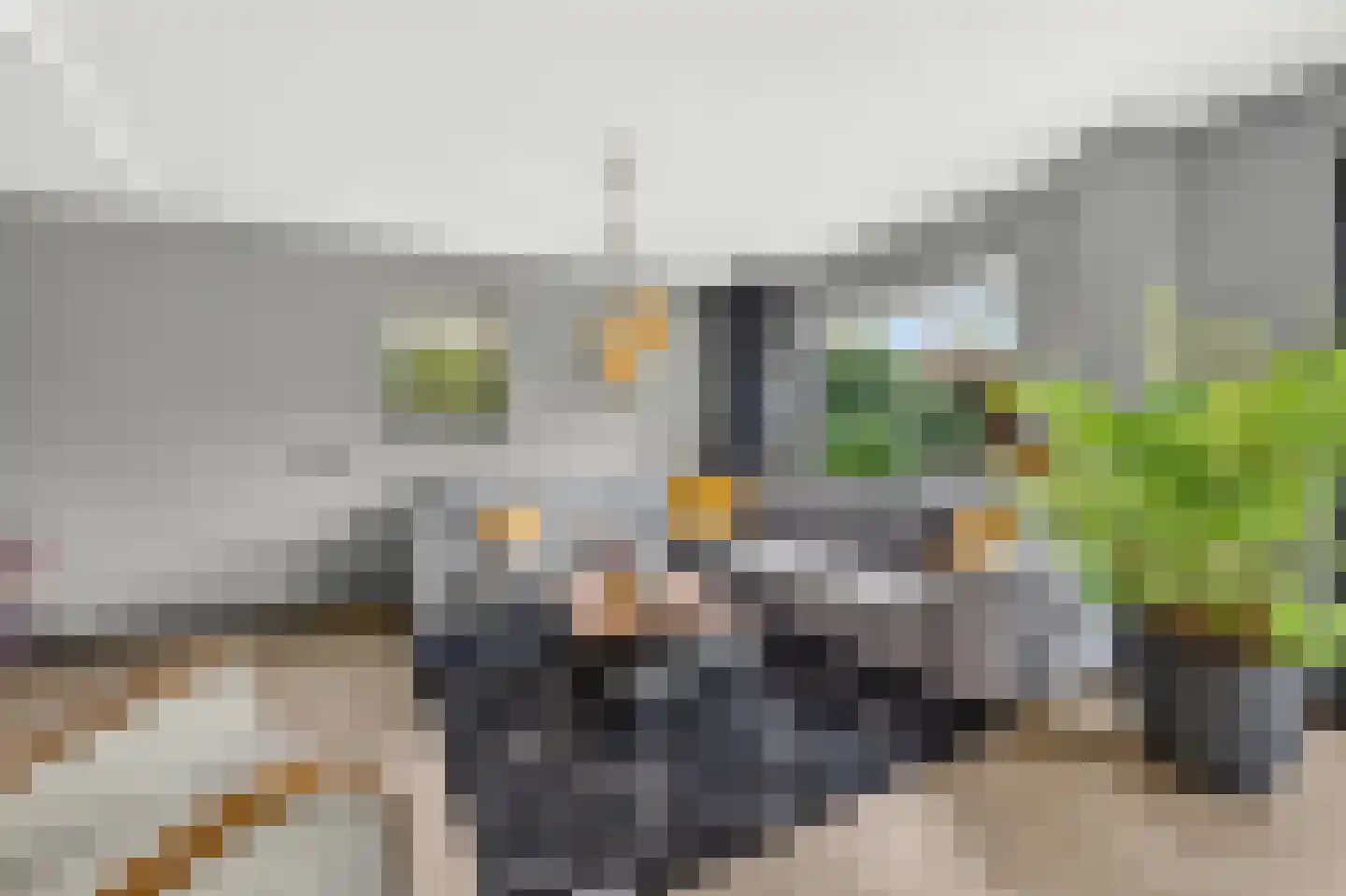 Ligusterhof 1 Papendrecht thumbnail 8