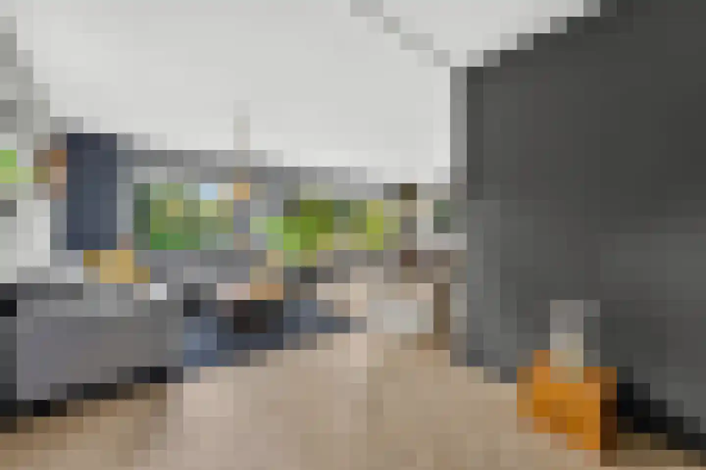 Ligusterhof 1 Papendrecht thumbnail 9