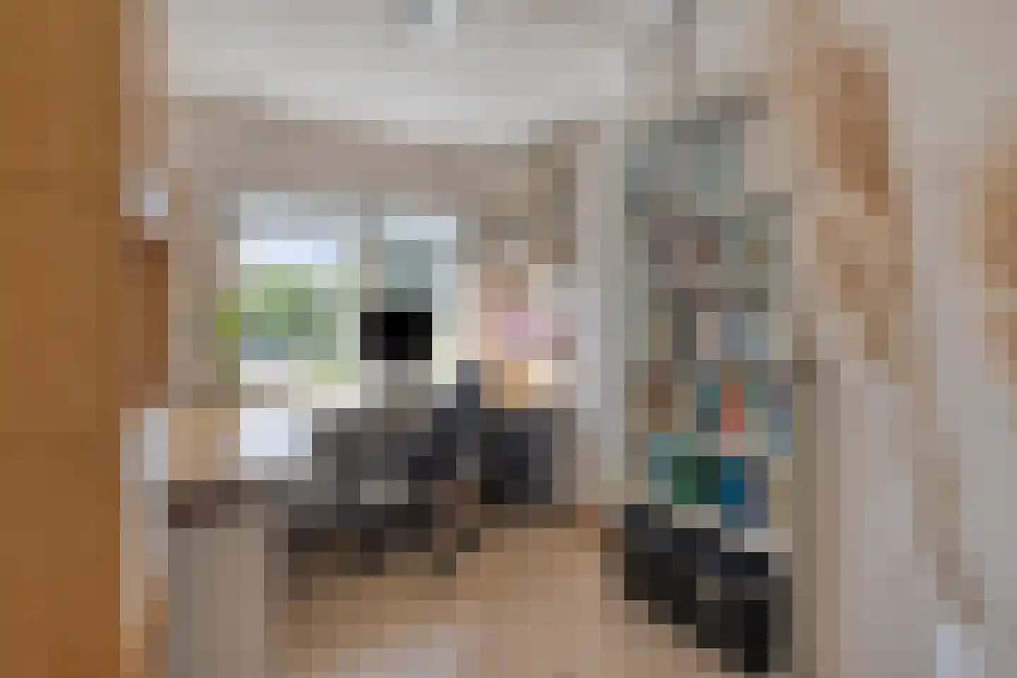 Ligusterhof 18 Beverwijk thumbnail 20