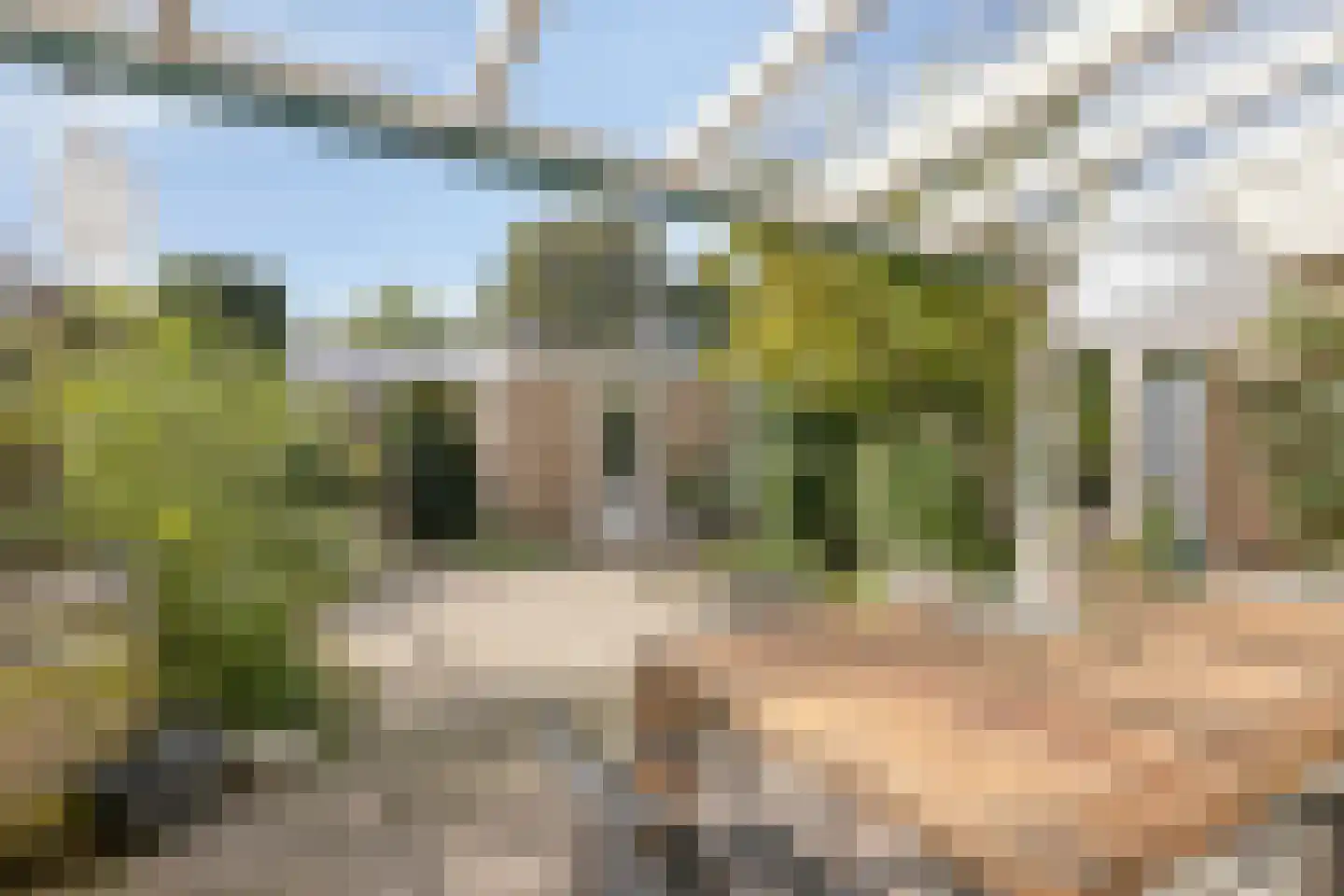 Ligusterhof 18 Beverwijk thumbnail 28