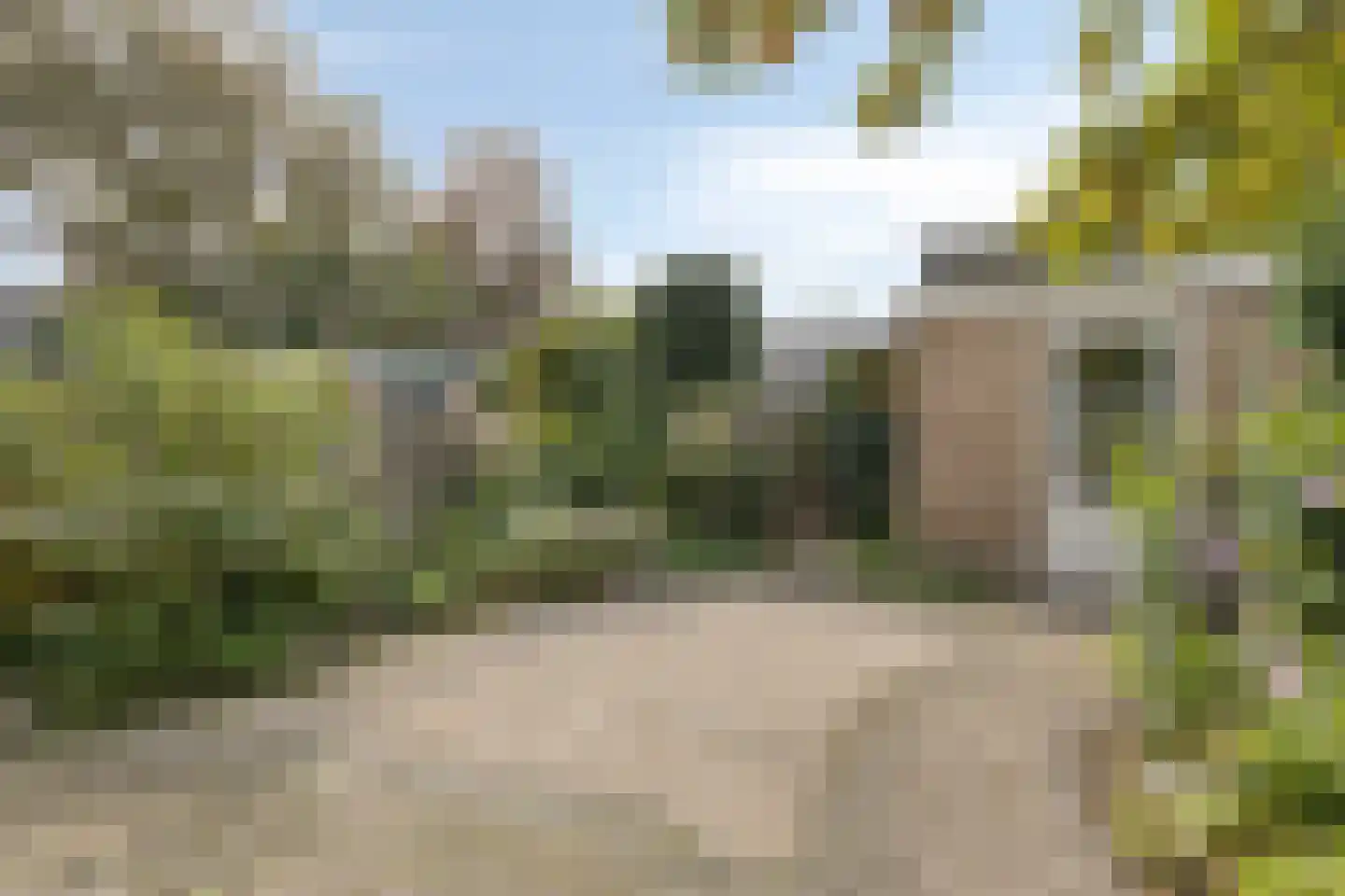 Ligusterhof 18 Beverwijk thumbnail 32