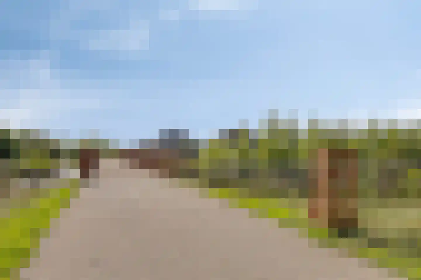 Ligusterhof 18 Beverwijk thumbnail 44