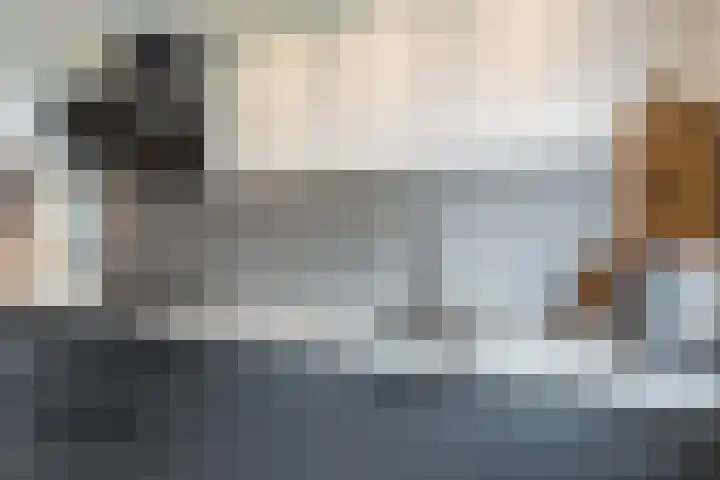 Ligusterhof 18 Papendrecht thumbnail 13