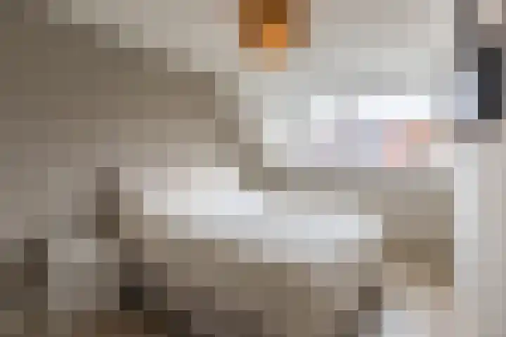 Ligusterhof 18 Papendrecht thumbnail 15