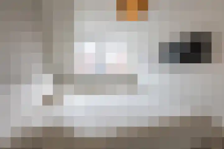 Ligusterhof 18 Papendrecht thumbnail 16