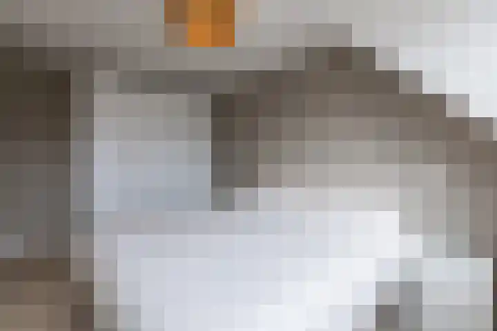 Ligusterhof 18 Papendrecht thumbnail 17