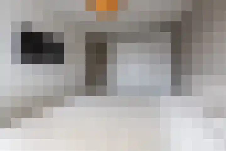 Ligusterhof 18 Papendrecht thumbnail 18