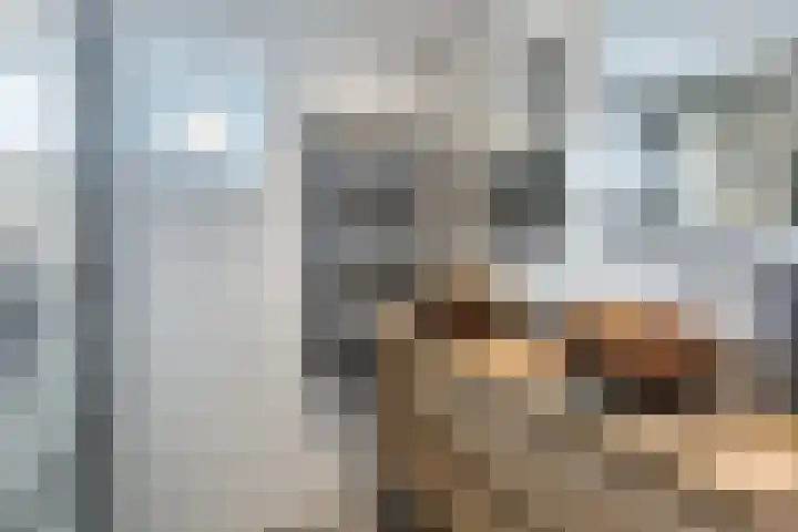 Ligusterhof 18 Papendrecht thumbnail 27