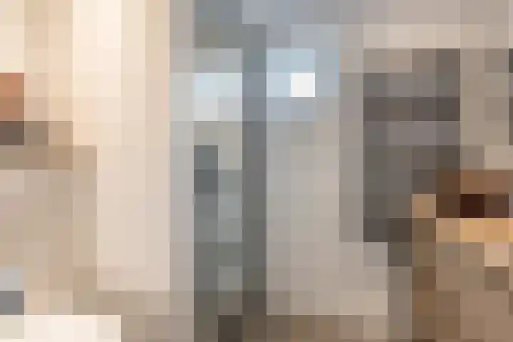 Ligusterhof 18 Papendrecht thumbnail 29