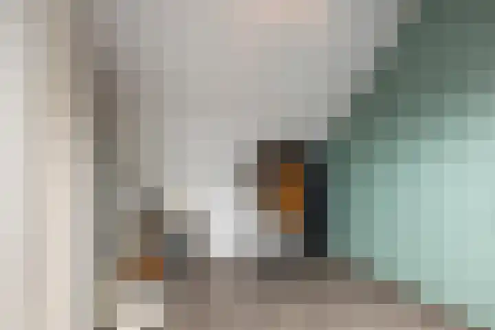 Ligusterhof 18 Papendrecht thumbnail 32