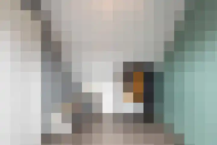 Ligusterhof 18 Papendrecht thumbnail 33