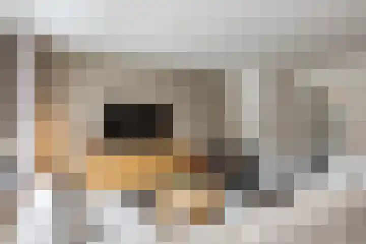 Ligusterhof 18 Papendrecht thumbnail 4