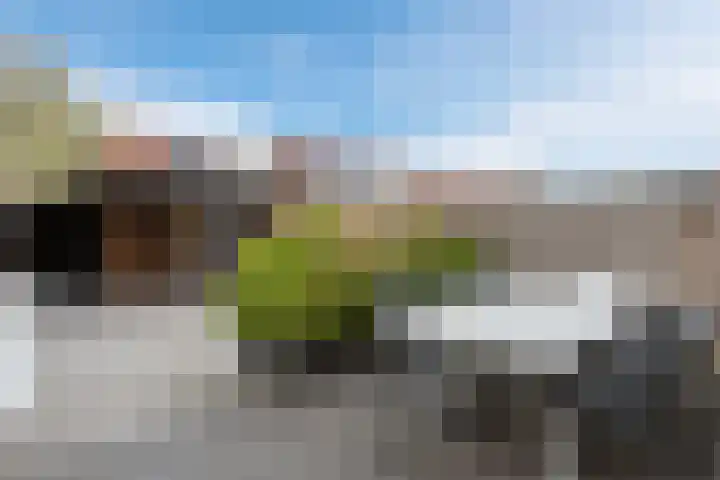 Ligusterhof 18 Papendrecht thumbnail 40