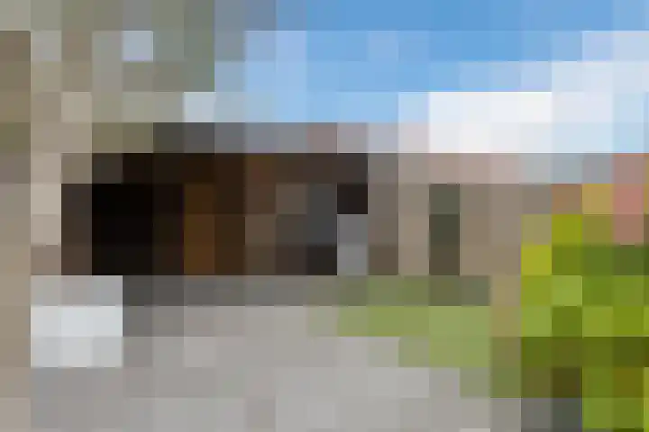 Ligusterhof 18 Papendrecht thumbnail 41