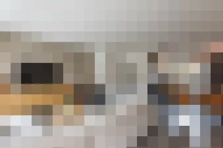 Ligusterhof 18 Papendrecht thumbnail 6