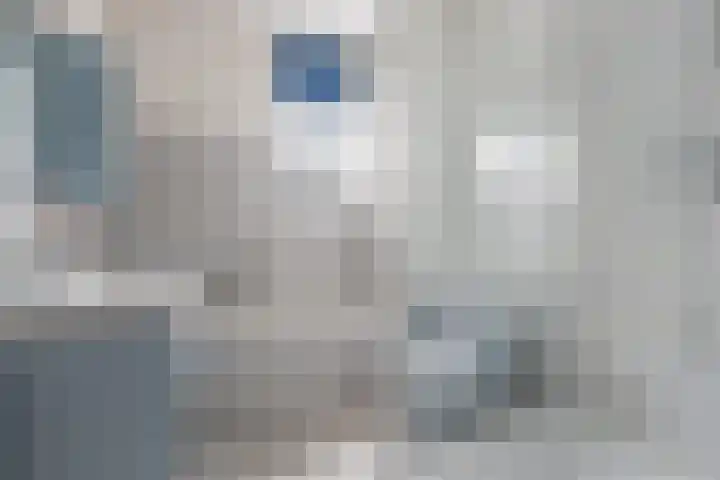 Ligusterhof 39 Papendrecht thumbnail 21