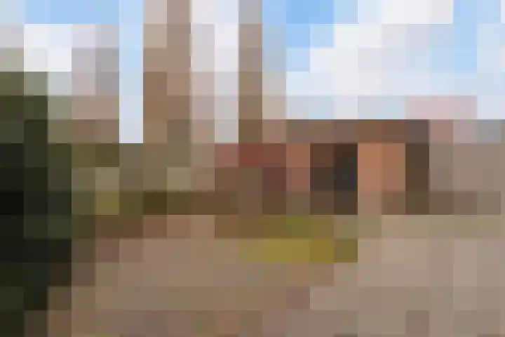 Ligusterhof 39 Papendrecht thumbnail 25