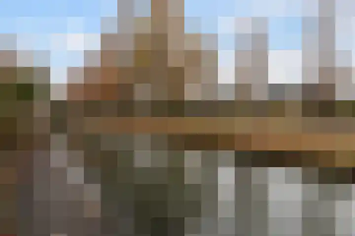 Ligusterhof 39 Papendrecht thumbnail 27
