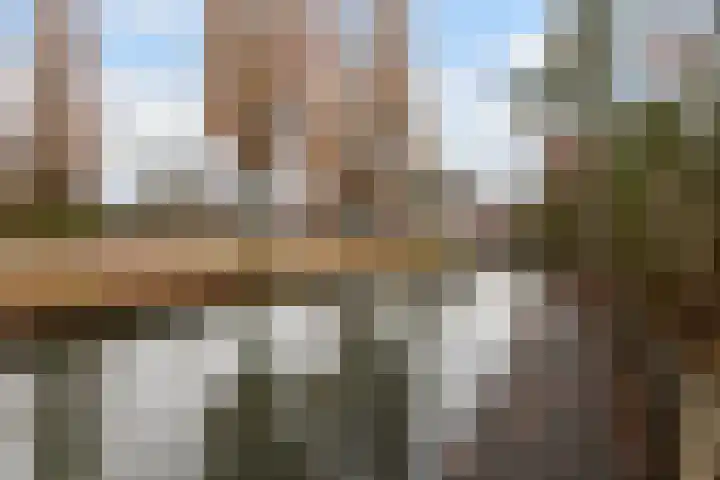 Ligusterhof 39 Papendrecht thumbnail 28