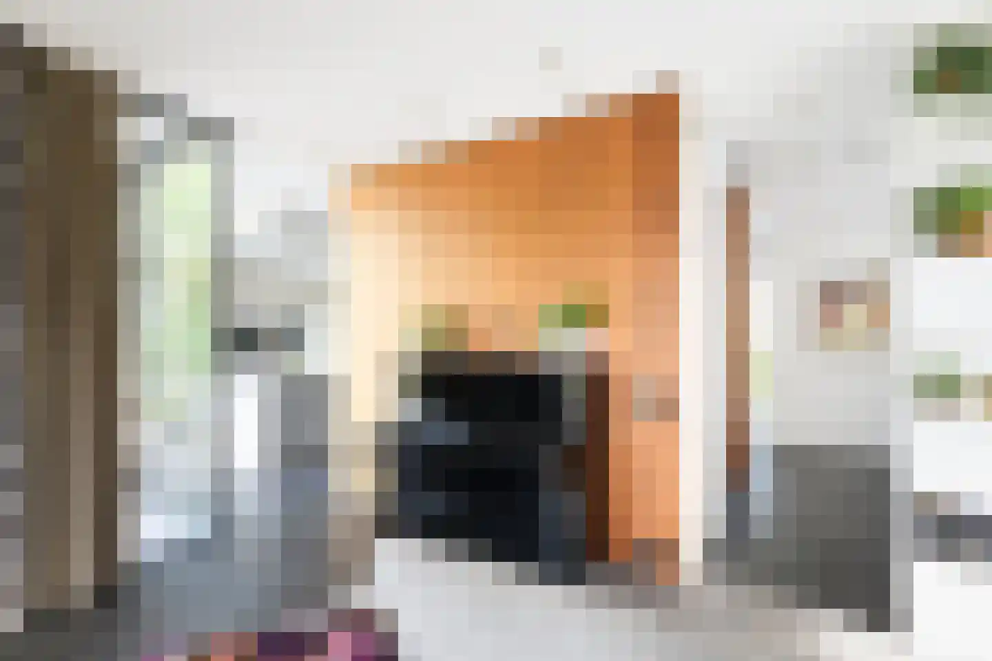 Ligusterhof 9 Amsterdam thumbnail 13