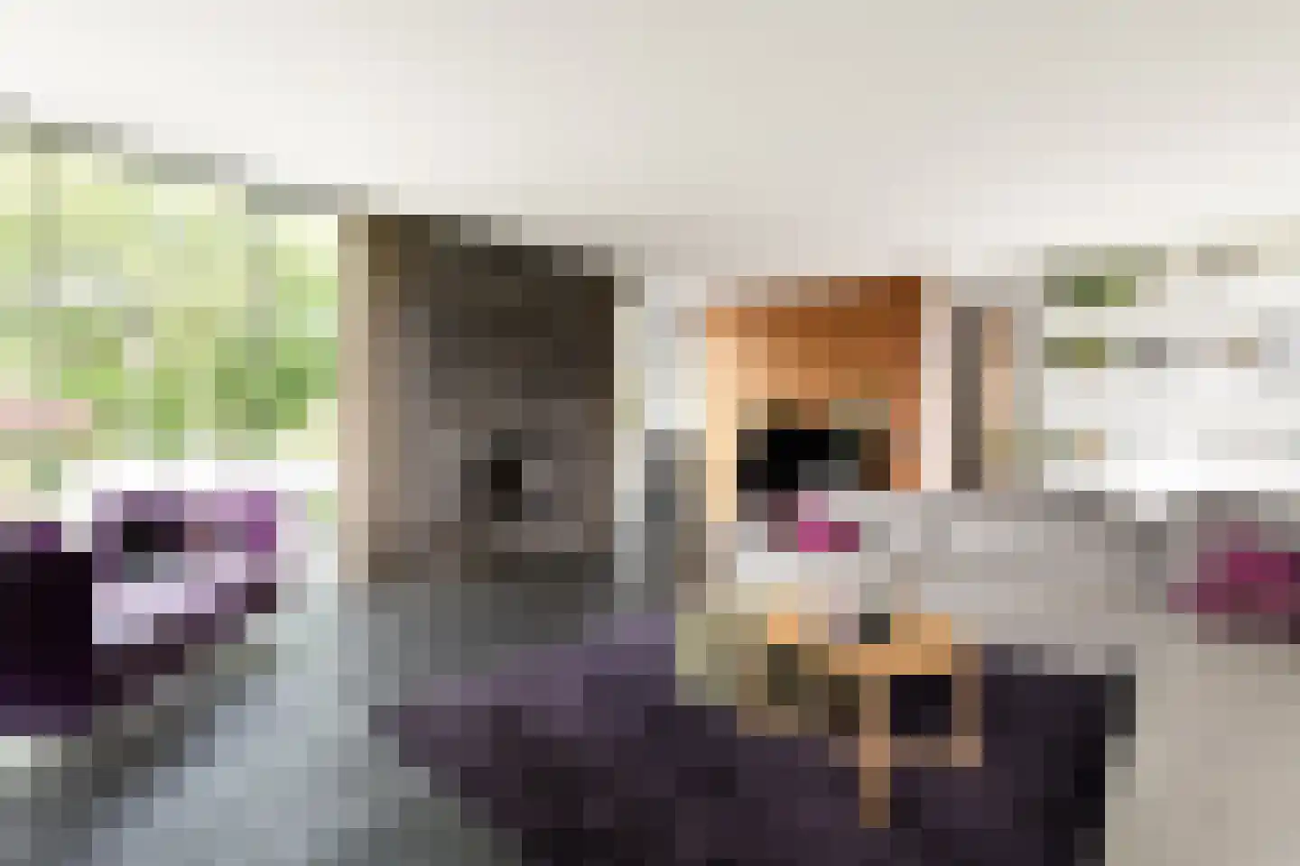 Ligusterhof 9 Amsterdam thumbnail 14