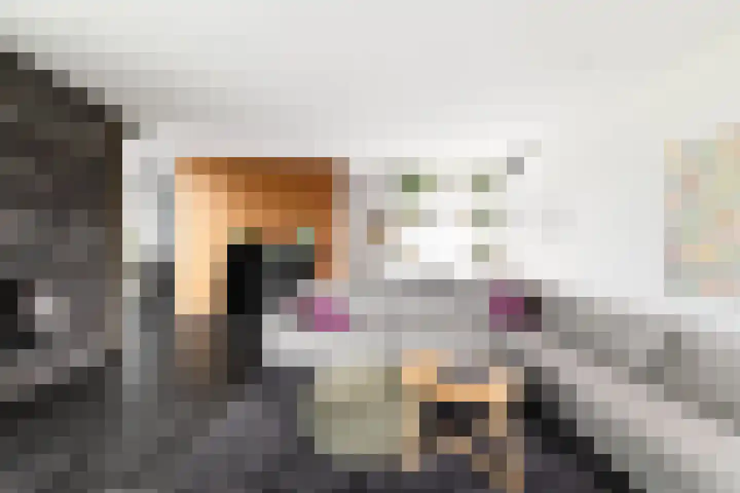Ligusterhof 9 Amsterdam thumbnail 17