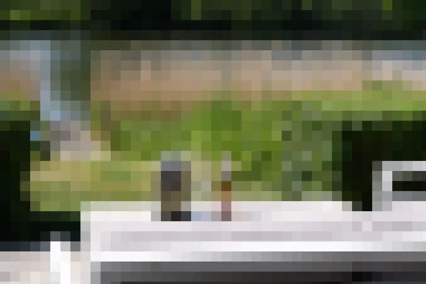 Ligusterhof 9 Amsterdam thumbnail 21