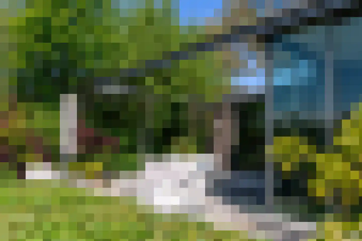 Ligusterhof 9 Amsterdam thumbnail 22