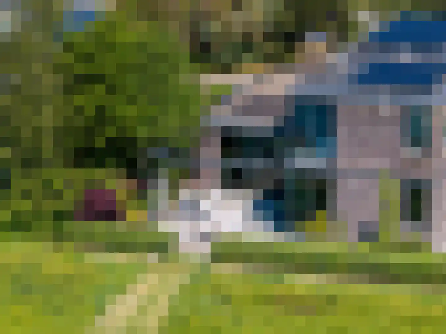 Ligusterhof 9 Amsterdam thumbnail 26