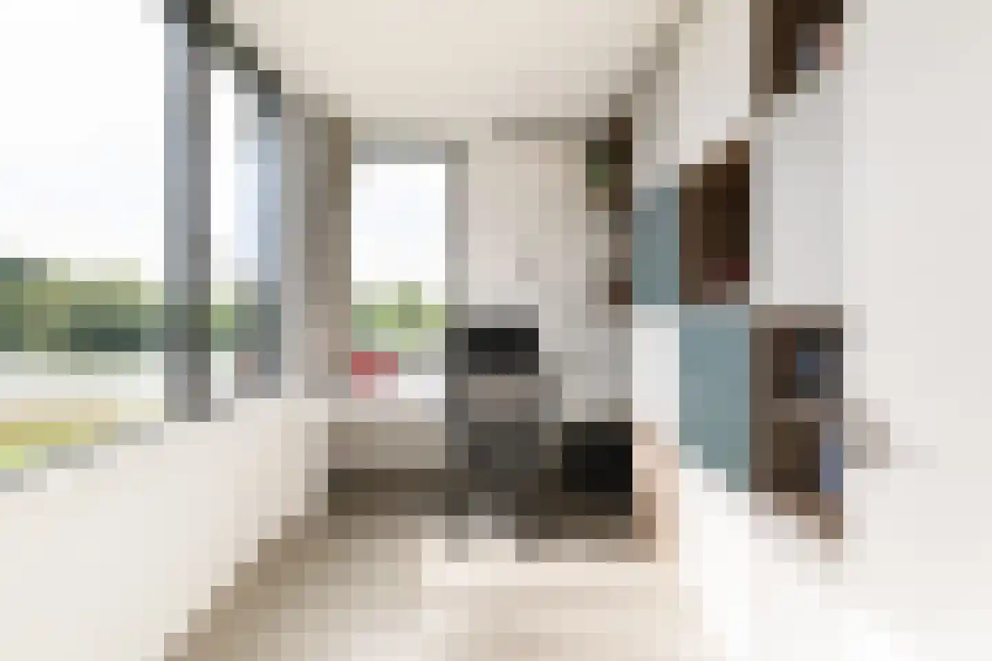Ligusterhof 9 Amsterdam thumbnail 39