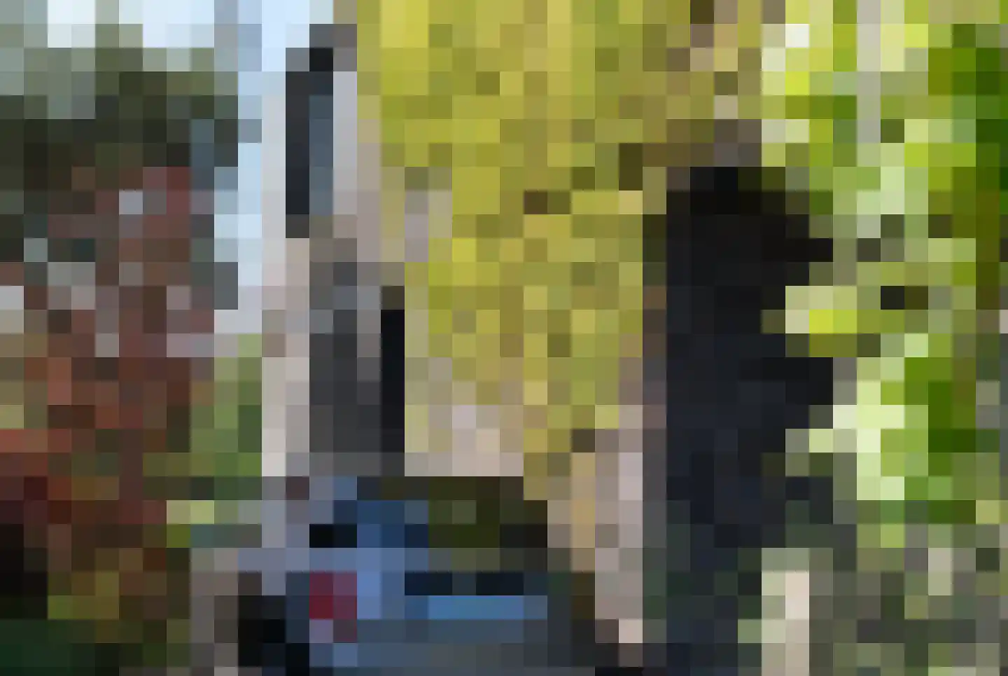 Ligusterhof 9 Amsterdam thumbnail 49