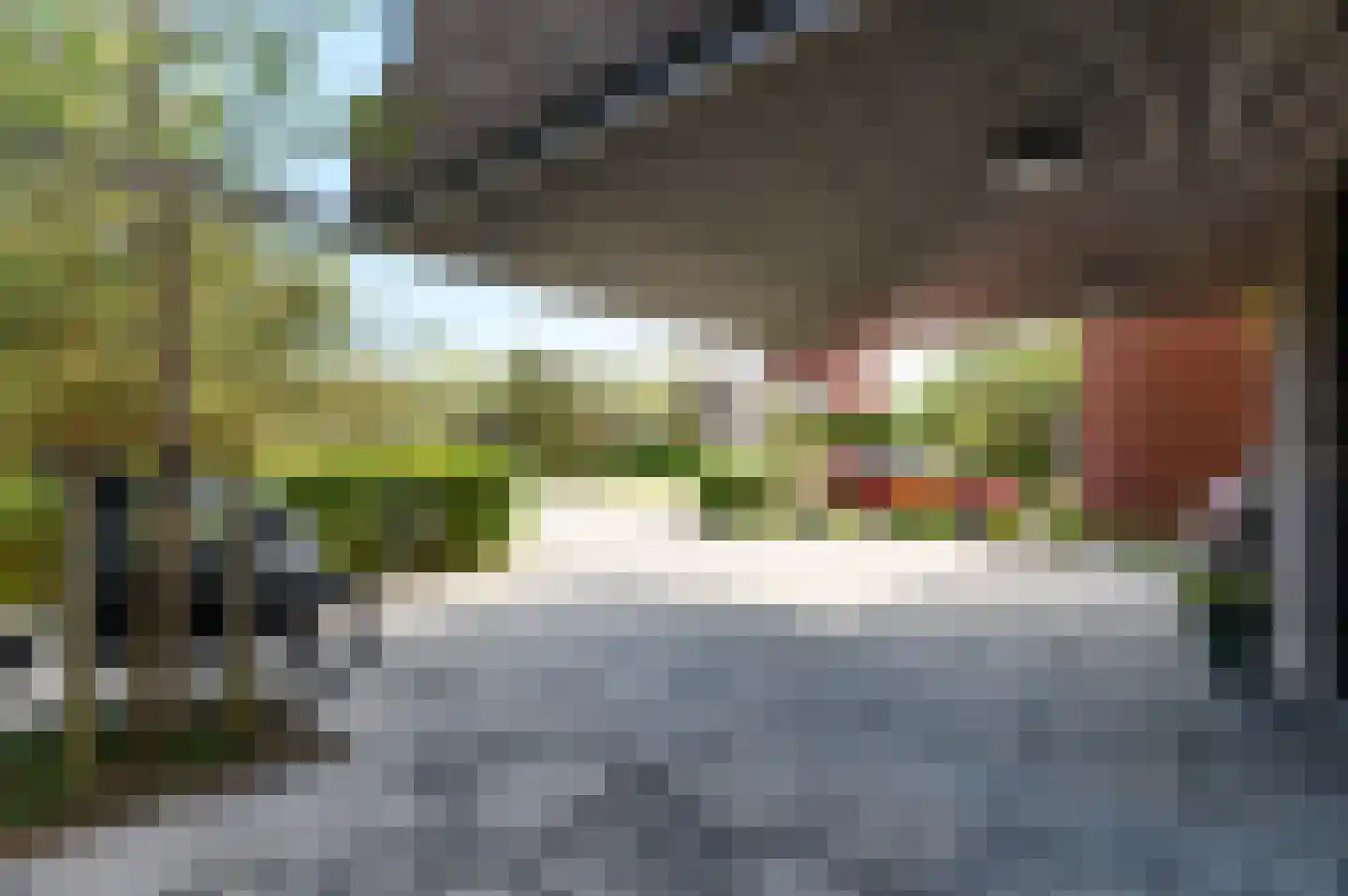 Ligusterhof 9 Amsterdam thumbnail 50