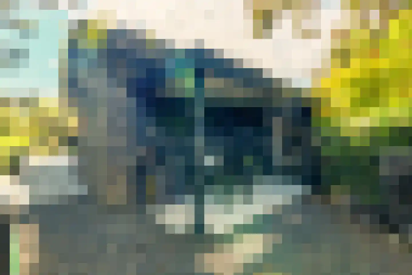 Ligusterhof 9 Amsterdam thumbnail 51