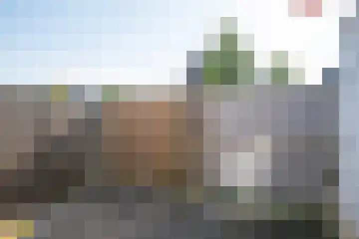 Ligusterlaan 155 Winterswijk thumbnail 31