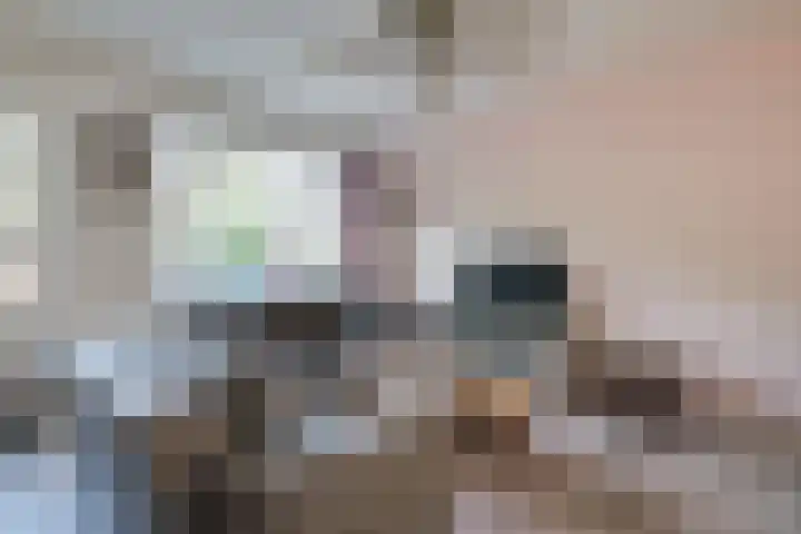 Ligusterlaan 155 Winterswijk thumbnail 5