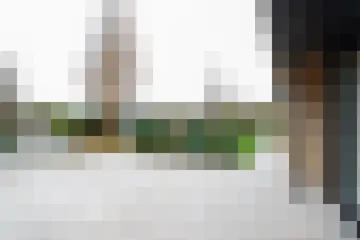 Ligusterlaan 17 Oostvoorne thumbnail 10