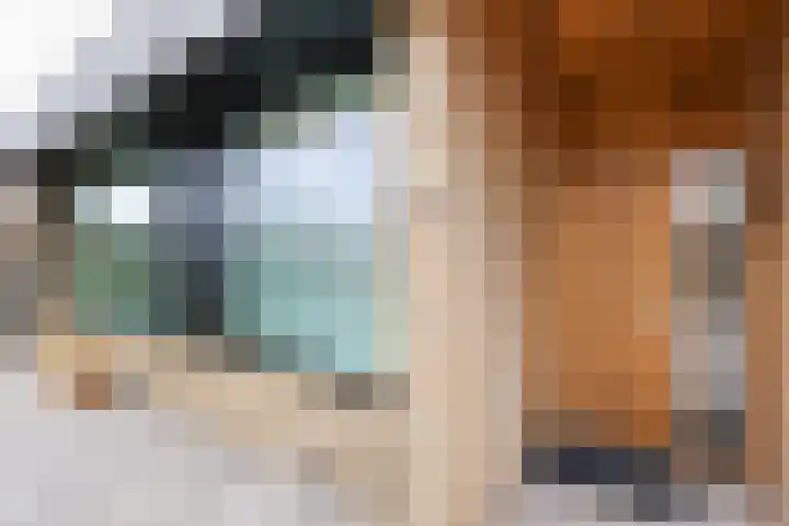 Ligusterlaan 17 Oostvoorne thumbnail 11