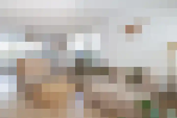 Ligusterlaan 17 Oostvoorne thumbnail 19