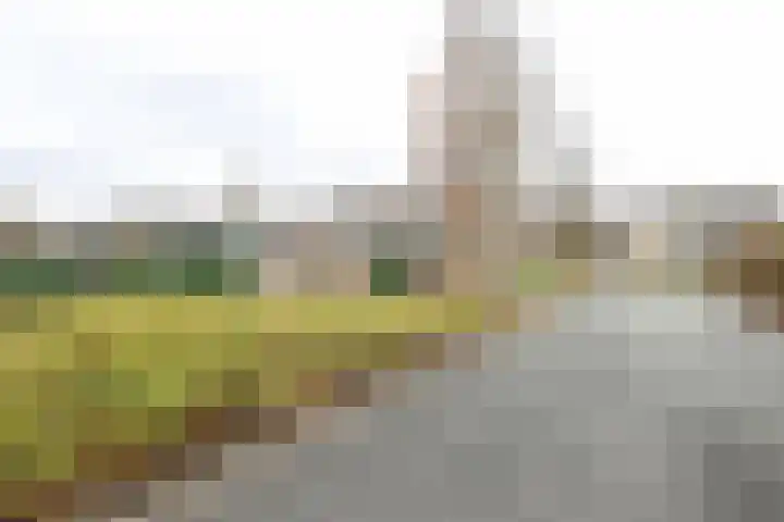 Ligusterlaan 17 Oostvoorne thumbnail 4