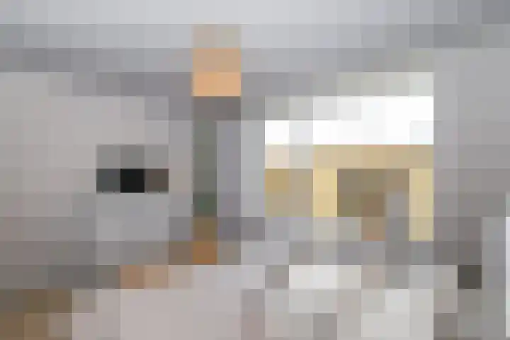 Ligusterlaan 17 Oostvoorne thumbnail 40