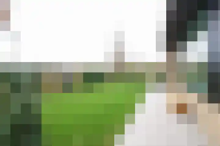 Ligusterlaan 17 Oostvoorne thumbnail 50