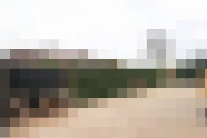 Ligusterlaan 17 Oostvoorne thumbnail 53